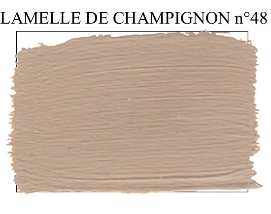 Lamelle de Champignon n°48
