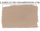 [E48-P1] Lamelle de Champignon n° 48 (1kg pot.)