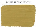[E51-P1] Jaune trop cuit n° 51 (1kg can.)