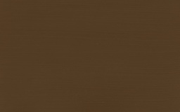 Calcined Umber N° 640 PaonLin