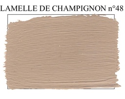 Lamelle de Champignon n° 48